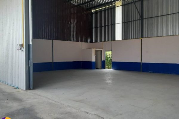 Chimphol-WH-Hatairat14